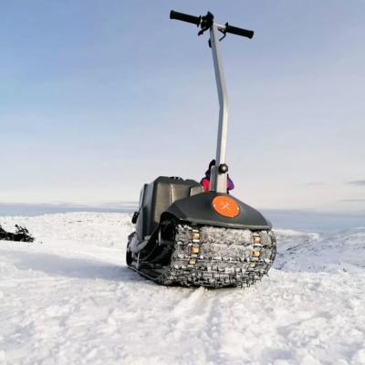 Прокат мотосноубордов в Москве